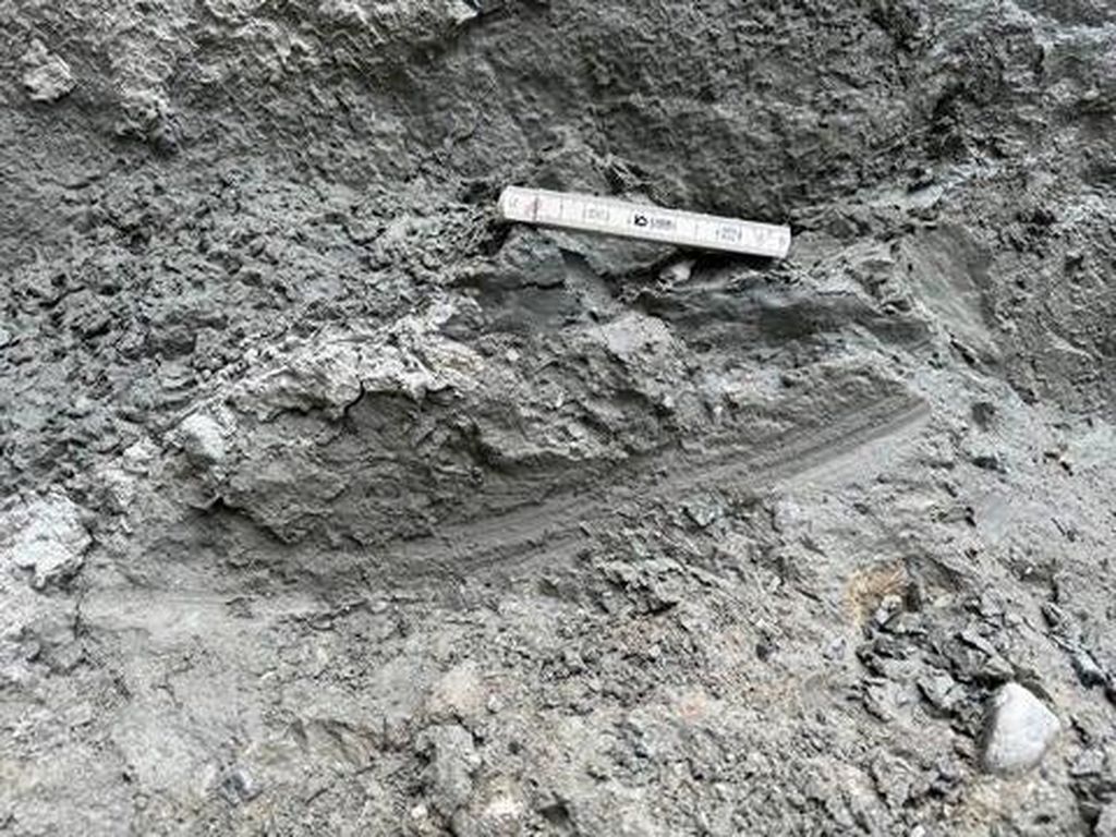 Ilmuwan Menemukan Metode Baru untuk Memprediksi Gempa, Begini Caranya